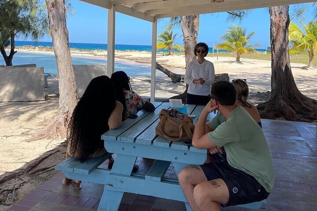 skupina ljudi, ki sedijo za mizo za piknik na plaži
