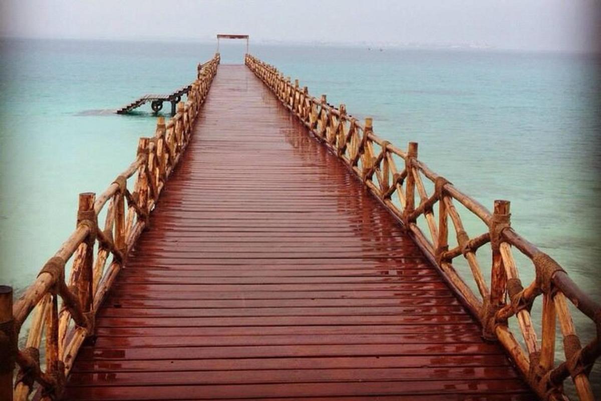 un ponte di legno sopra l'acqua con