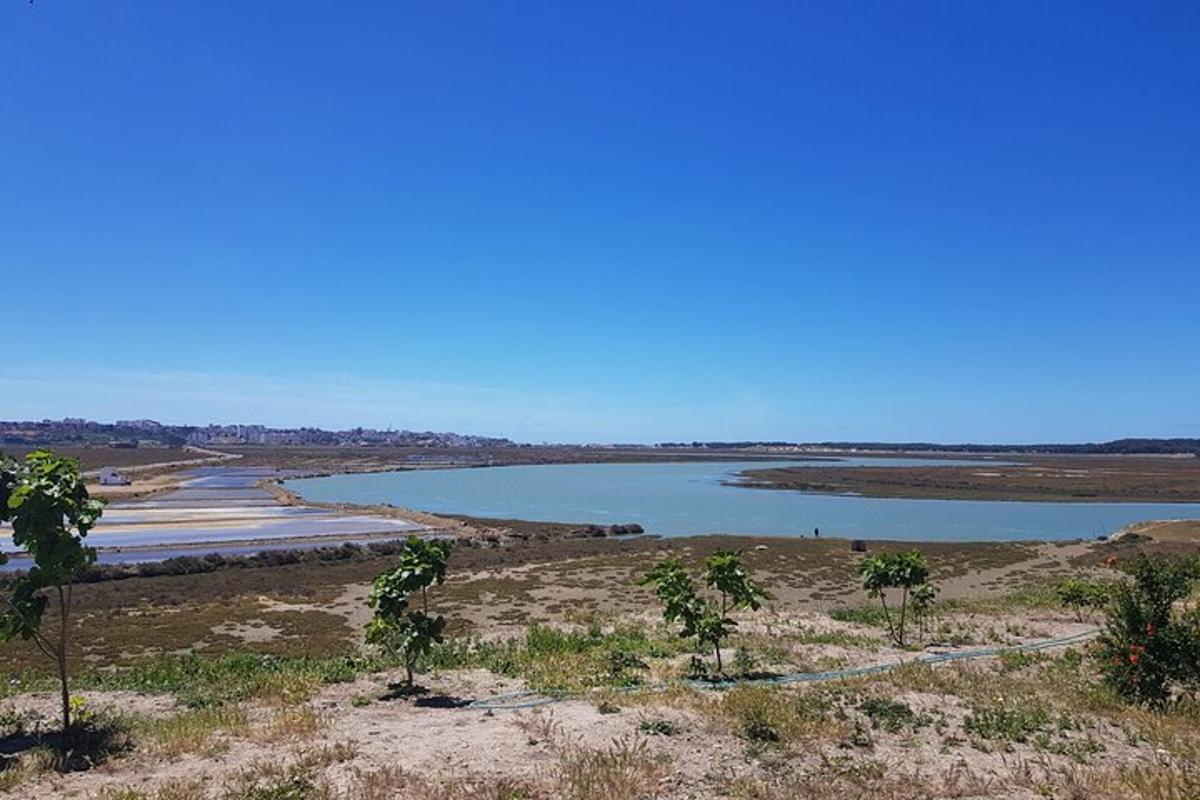 una gran masa de agua en medio de un campo