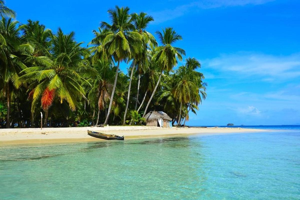 một bãi biển có cây cọ và một chiếc thuyền trên mặt nước