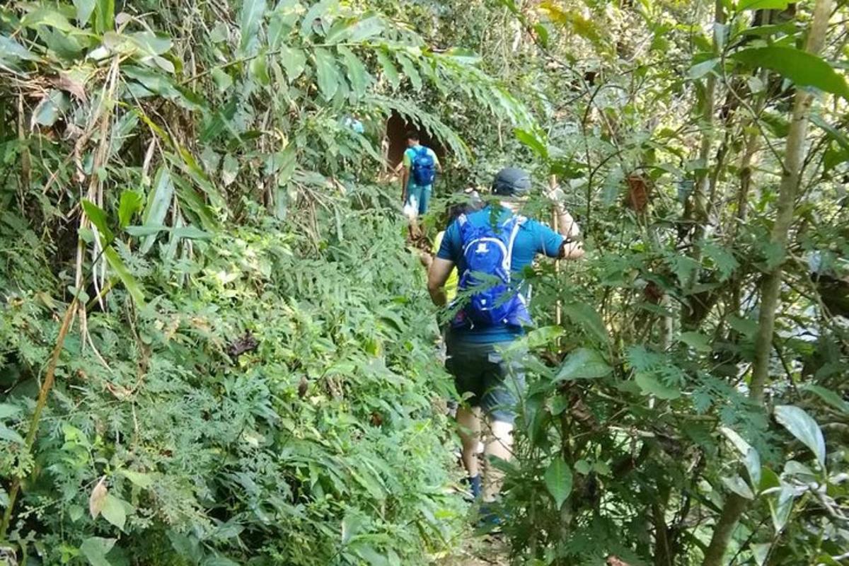 duas pessoas caminhando por uma trilha na selva
