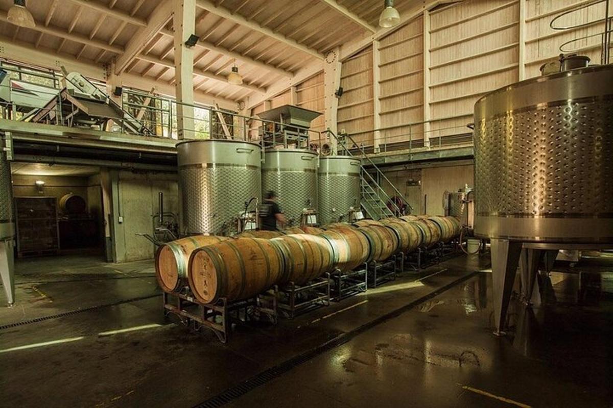 a row of wine barrels in a building