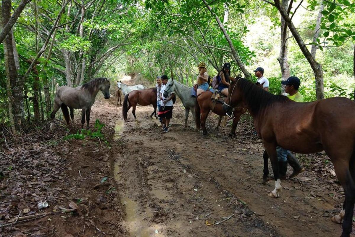 a group of people riding horses on a dirt road