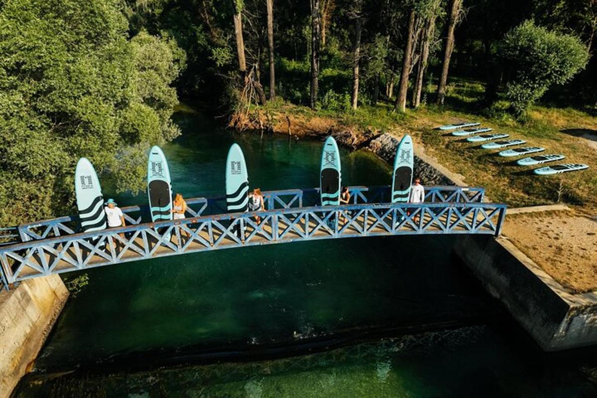 a group of people on a bridge over water with surfboards