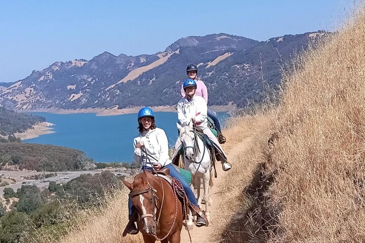 two people are riding horses on a hill