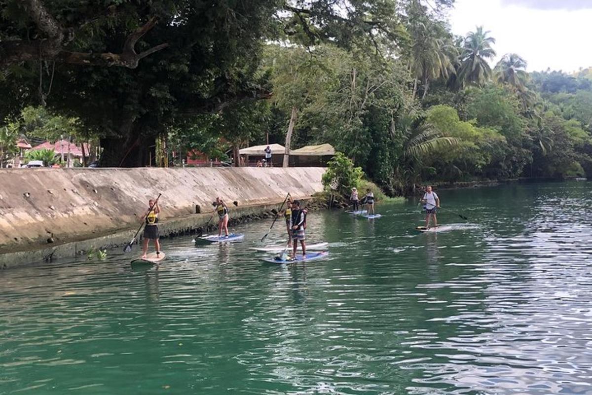 un gruppo di persone su tavole da paddle in acqua