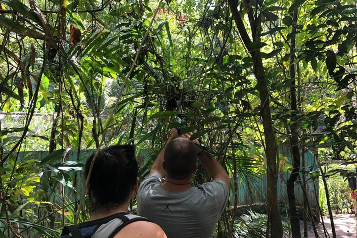 un uomo e una donna che scattano una foto di un albero