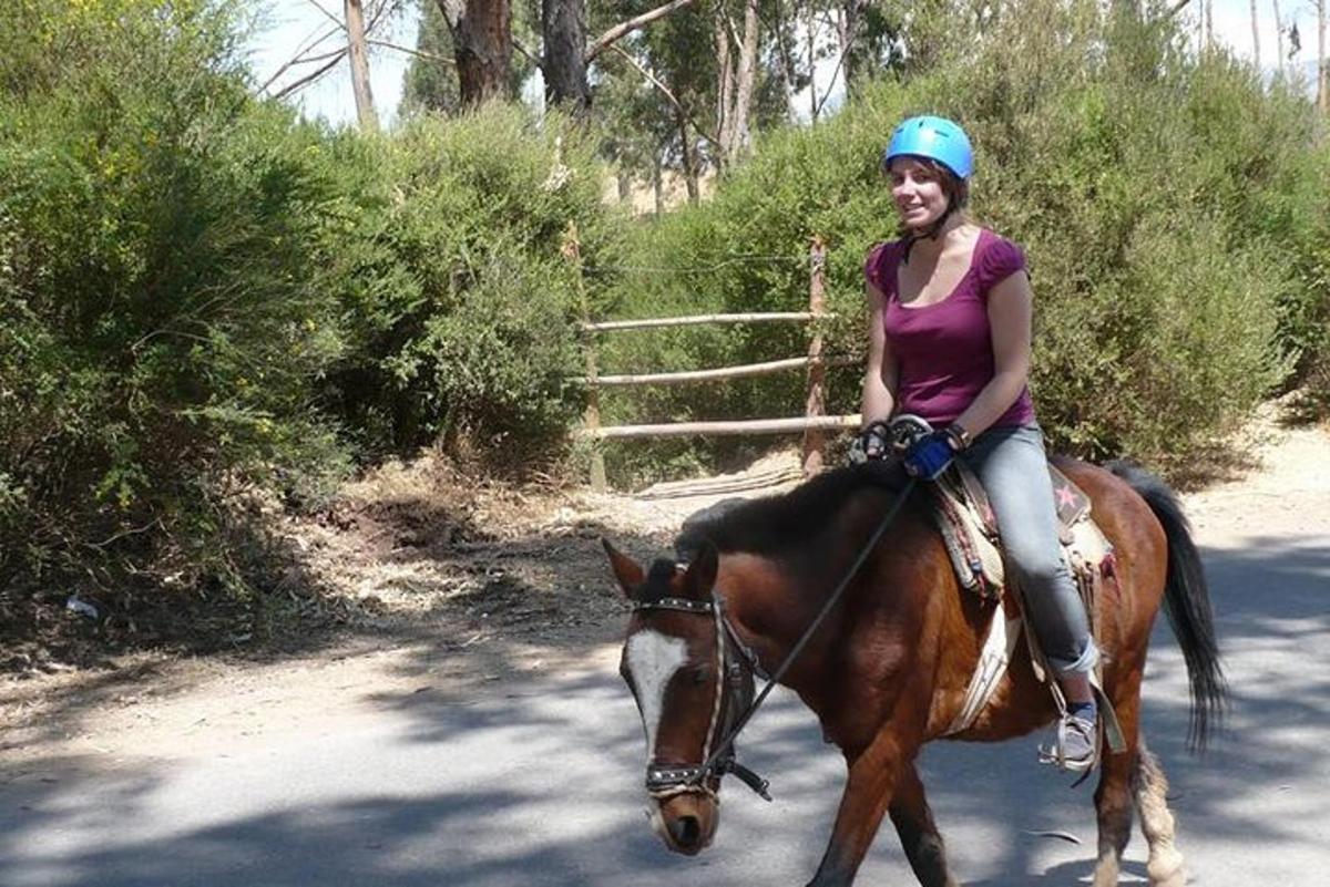 Una mujer montando a caballo por una carretera