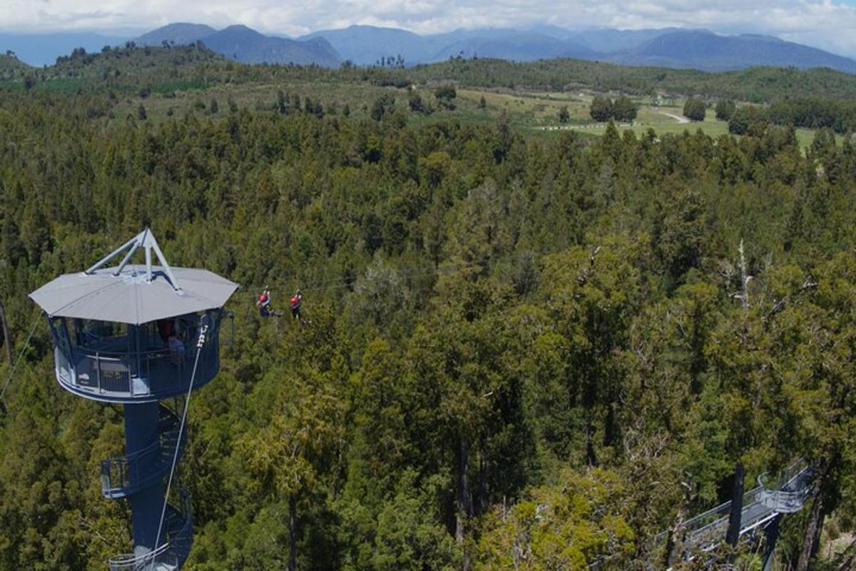 a group of people riding a gondola over a forest