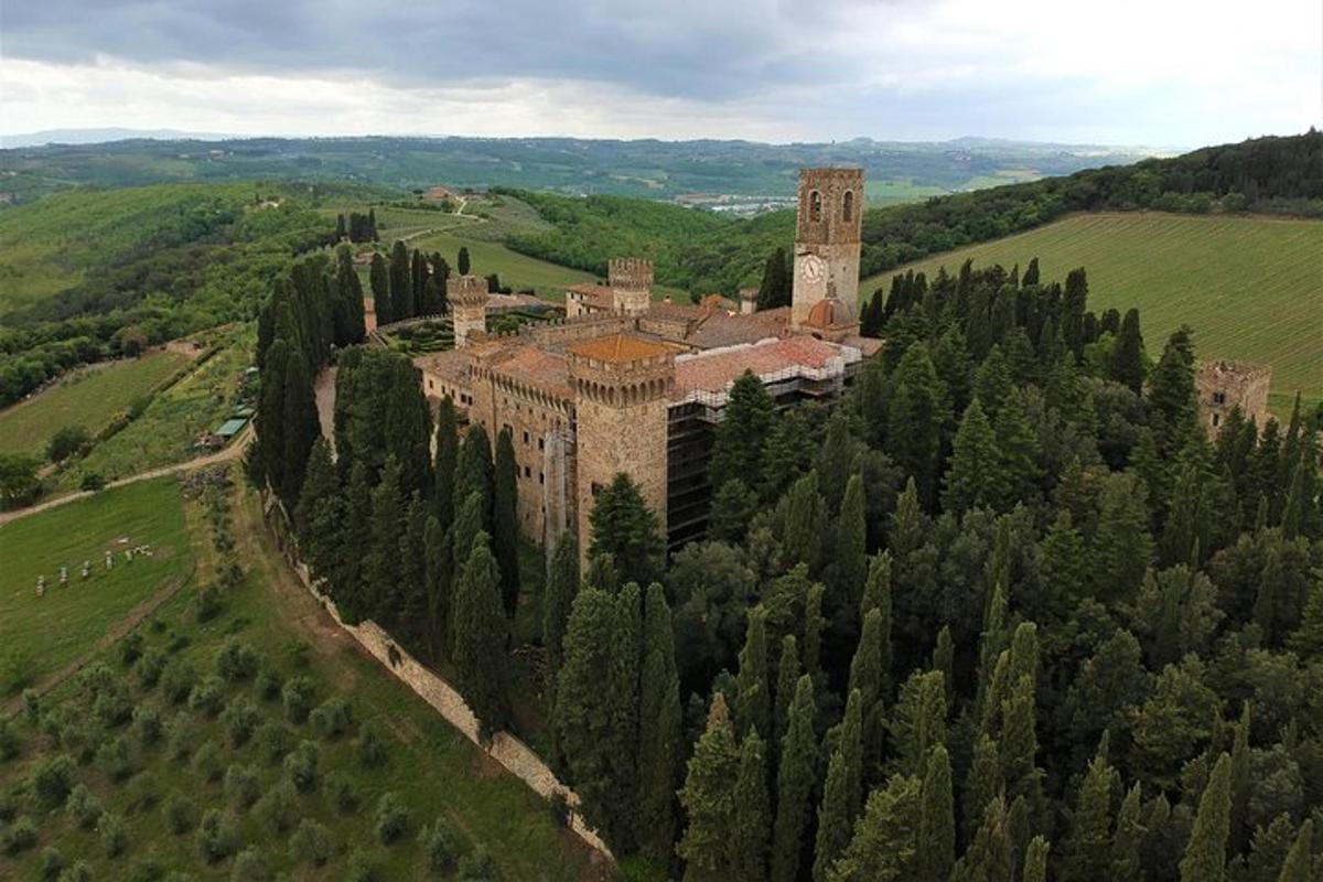 una vista aerea di un castello in cima agli alberi