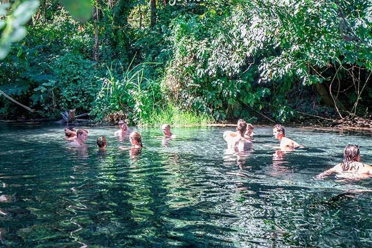 un gruppo di persone che nuotano nell'acqua