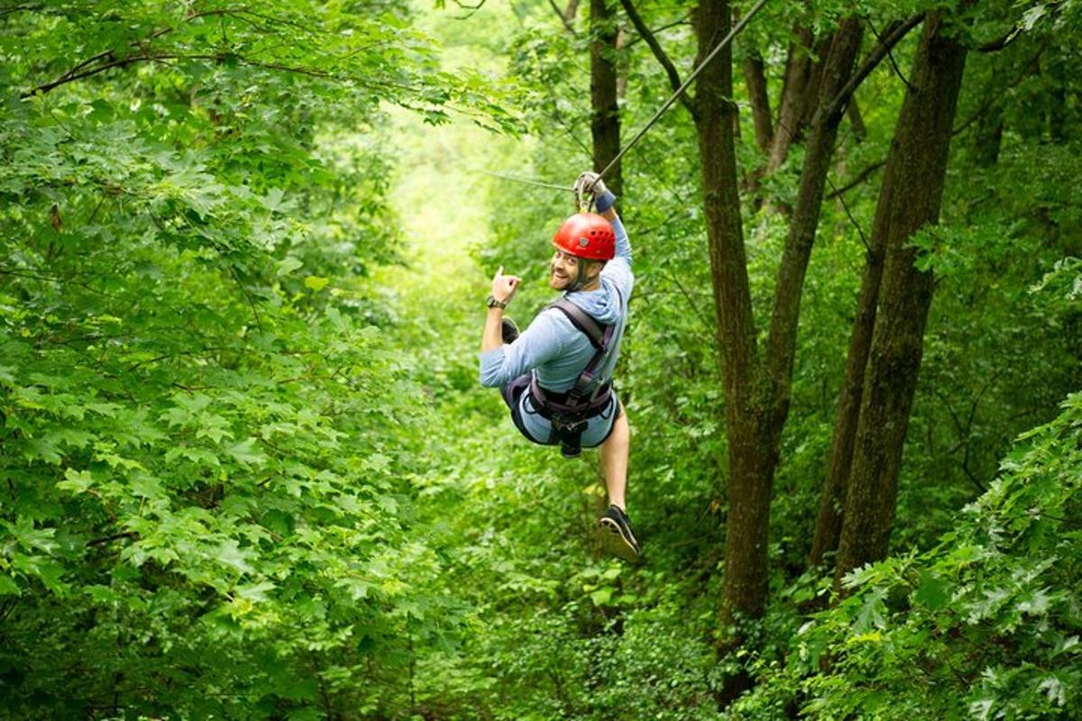 egy férfi zipline-on lovagol az erdőben