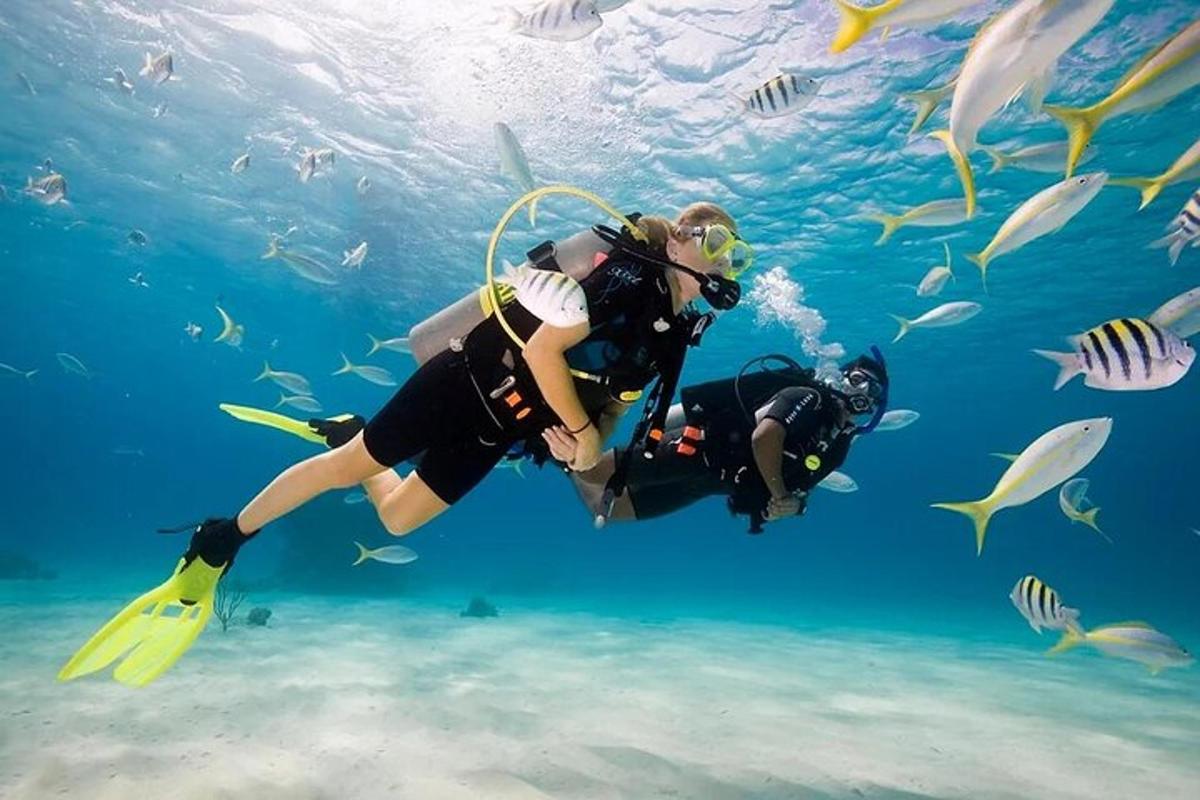 dva lidé se potápějí v oceánu s rybami