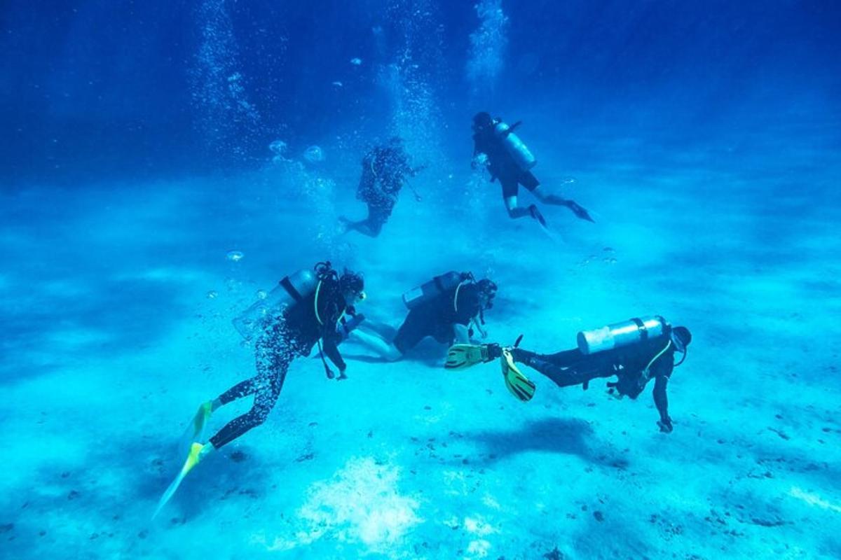 sekelompok orang yang sedang berenang di lautan