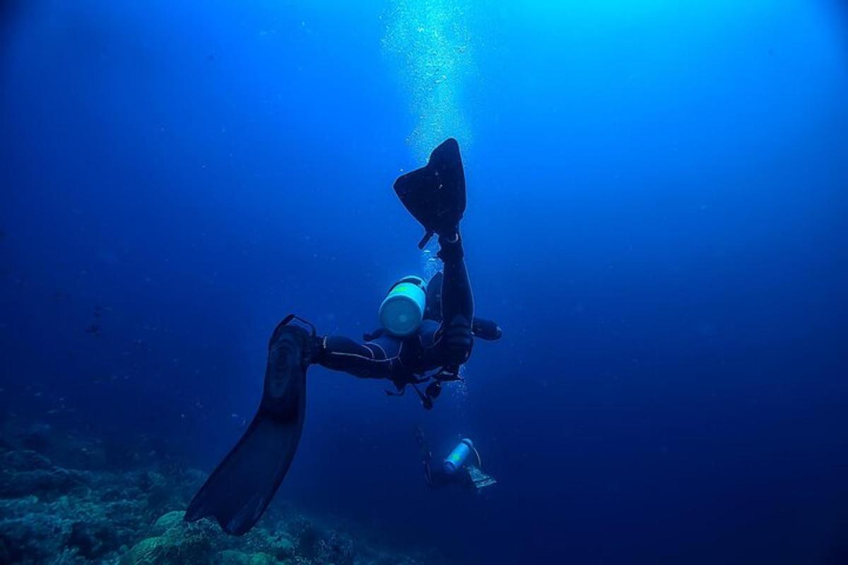 um mergulhador no oceano olhando para um recife