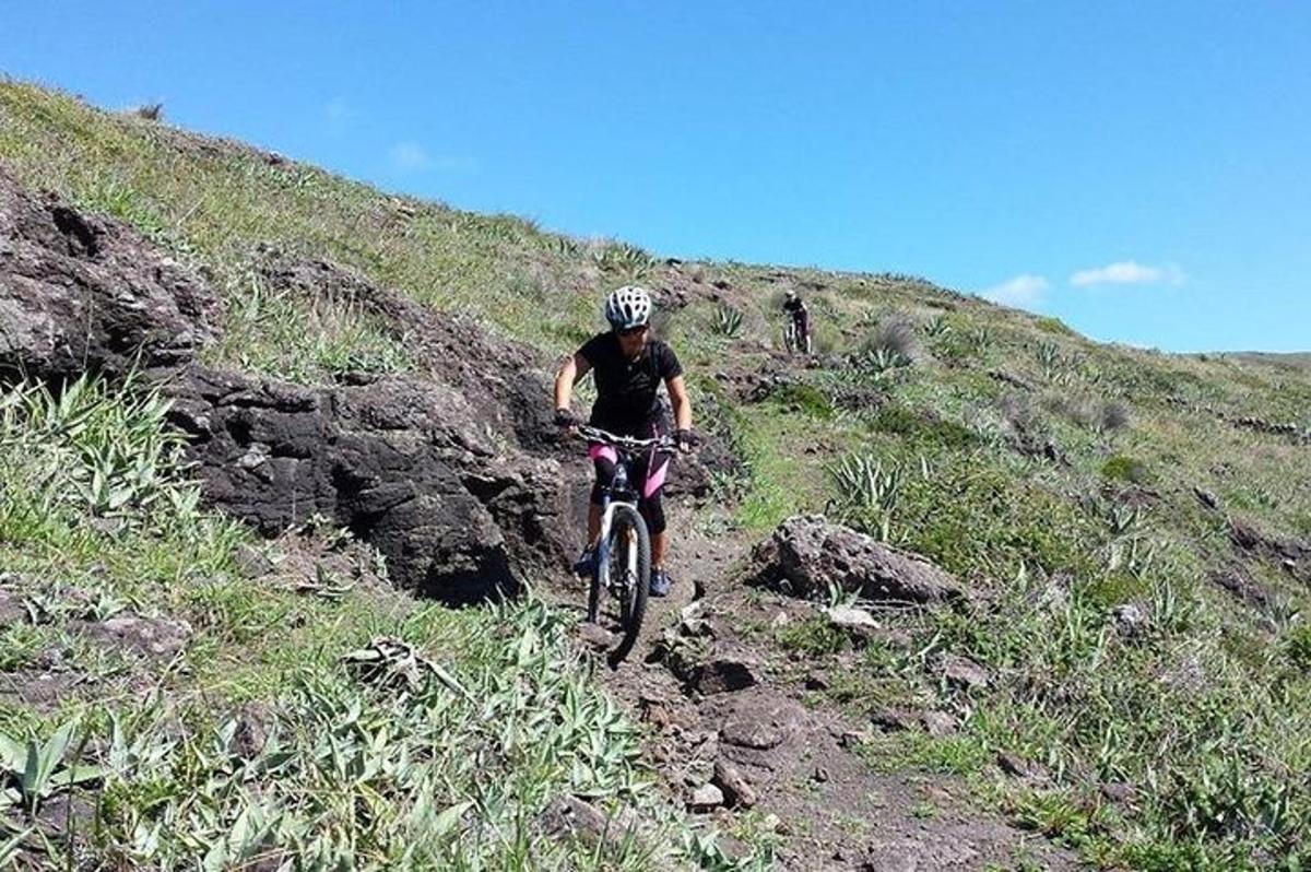 een persoon die op een fiets een heuvel afrijdt