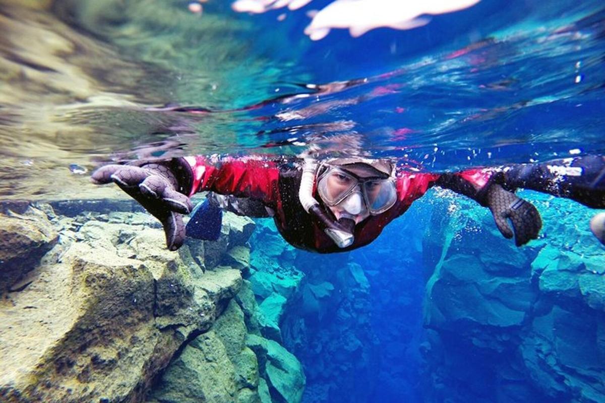 una persona está nadando en el agua