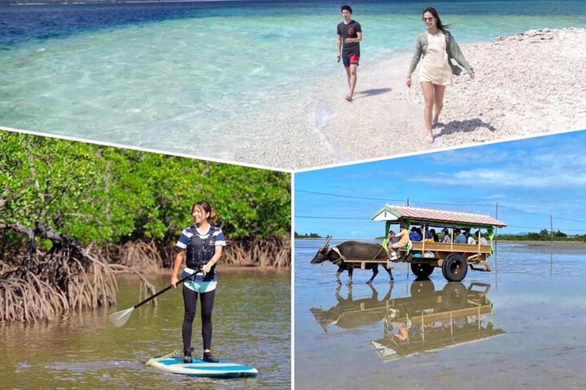 trei poze cu oameni pe plajă și o femeie pe o placă de paddle