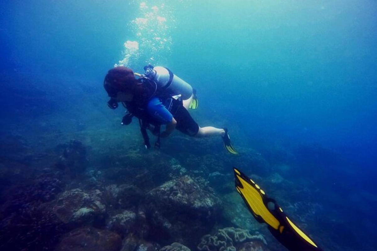 seseorang di lautan melihat terumbu karang