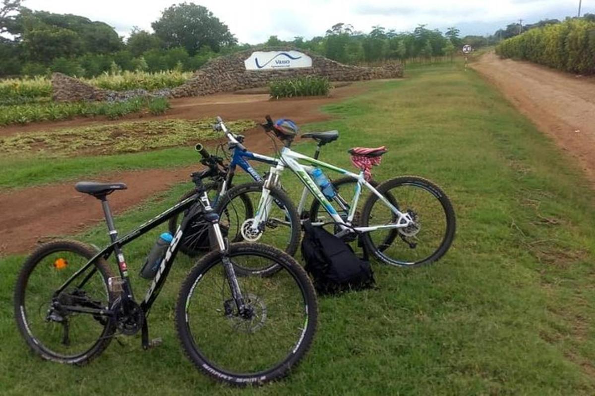 două biciclete parcate în iarba unui câmp