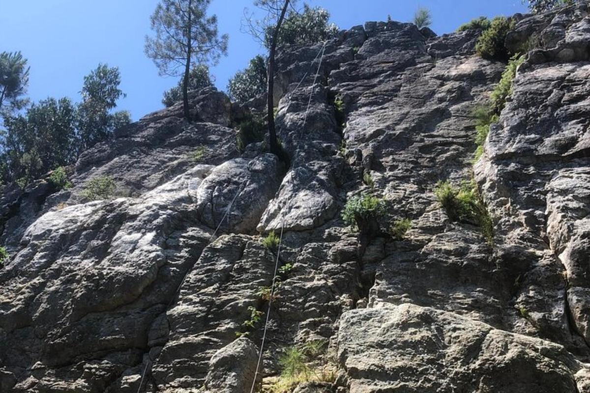 una montagna rocciosa con alberi in cima