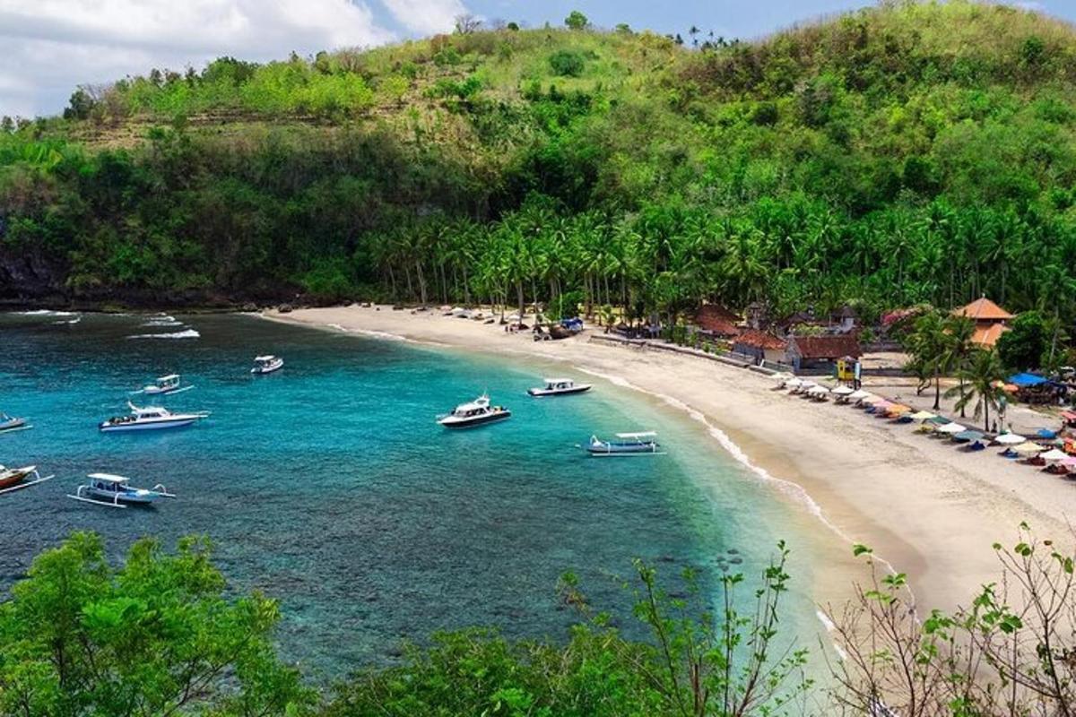isang grupo ng mga bangka sa tubig sa isang beach