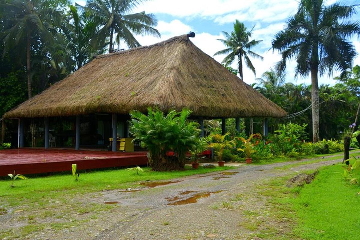 a hut with a grass roof and a road