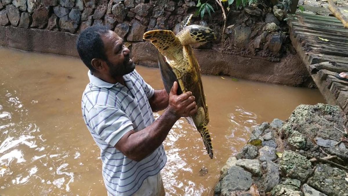 a man holding a turtle in the water