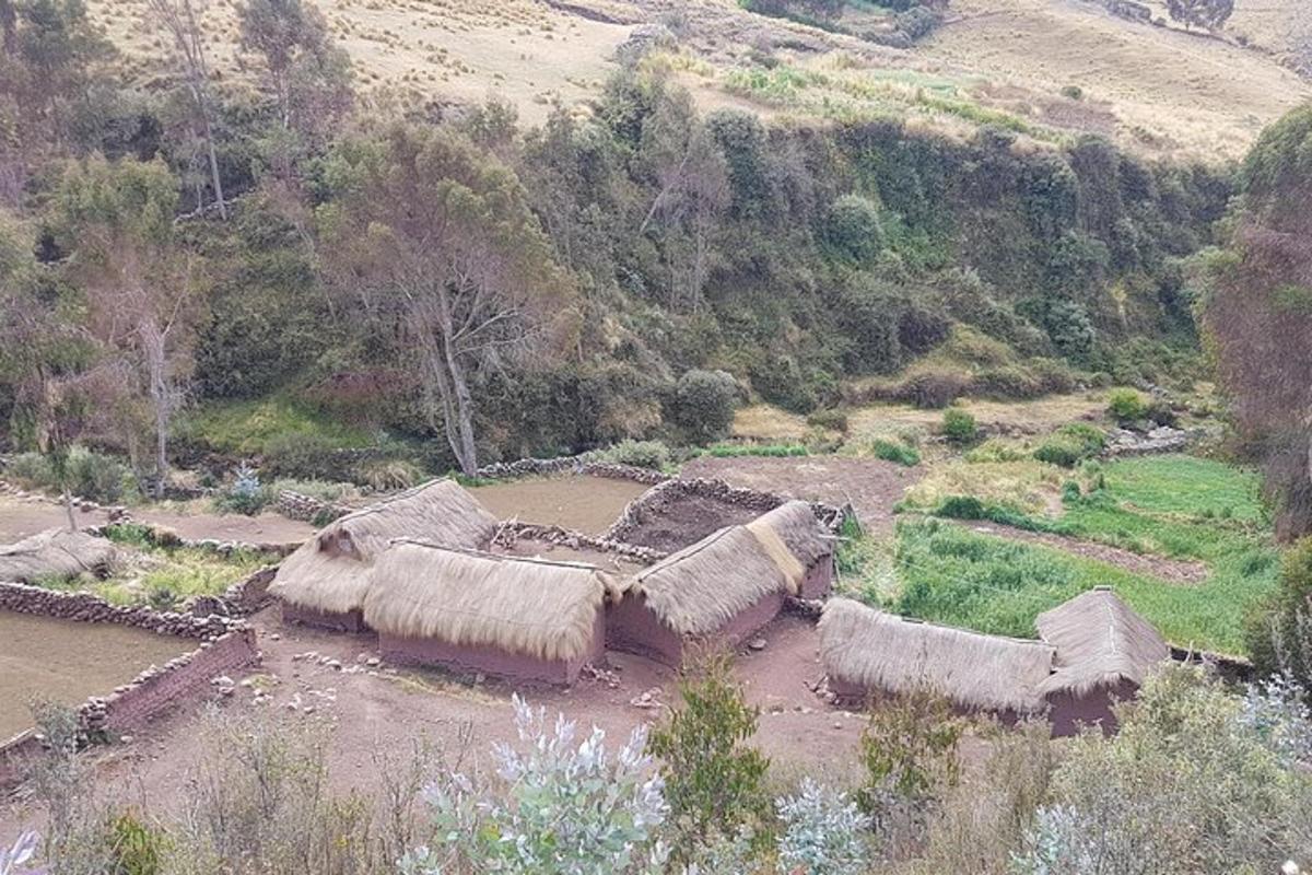 eine Gruppe von Hütten auf einem Feld mit einem Berg