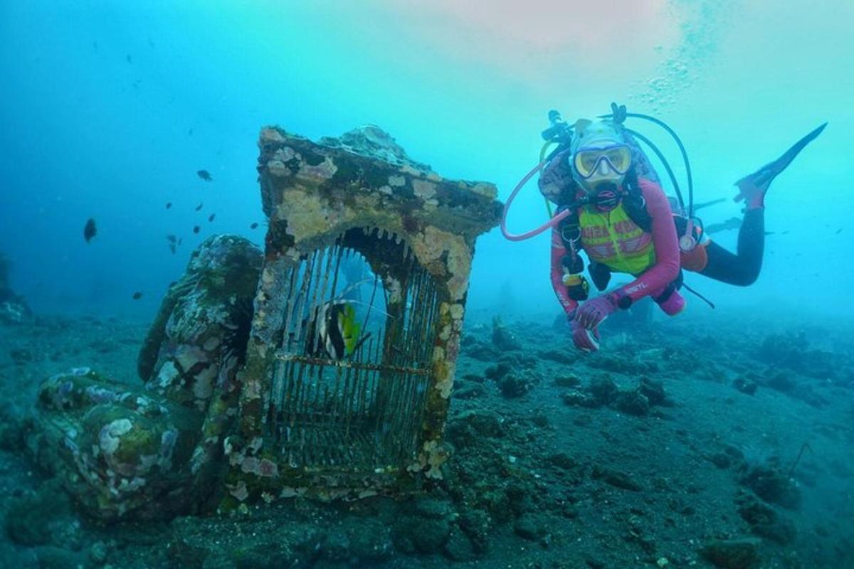 o persoană face scufundări în ocean