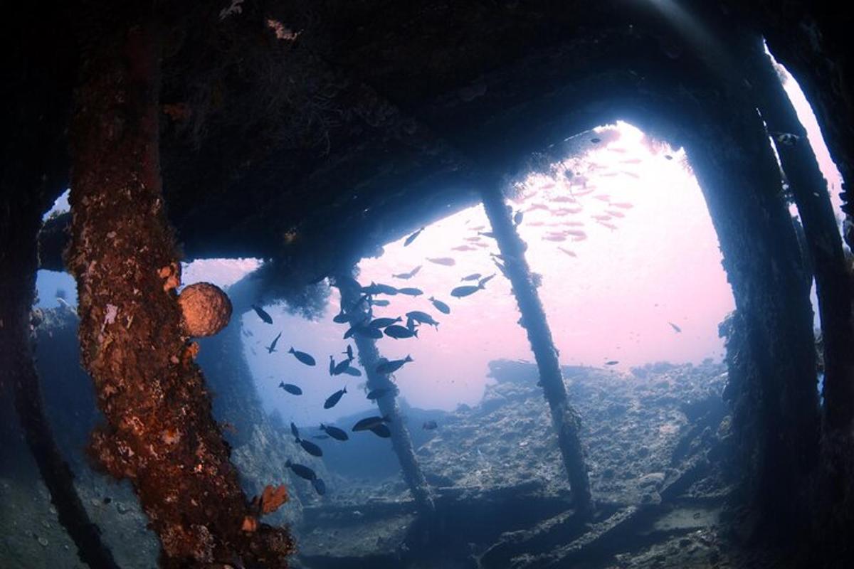 un túnel amb peixos nedant a l'aigua