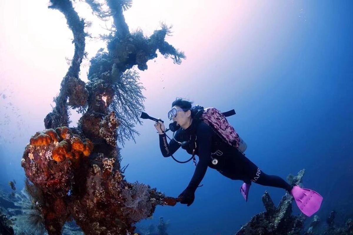 una persona en el agua tomando una fotografía de un arrecife