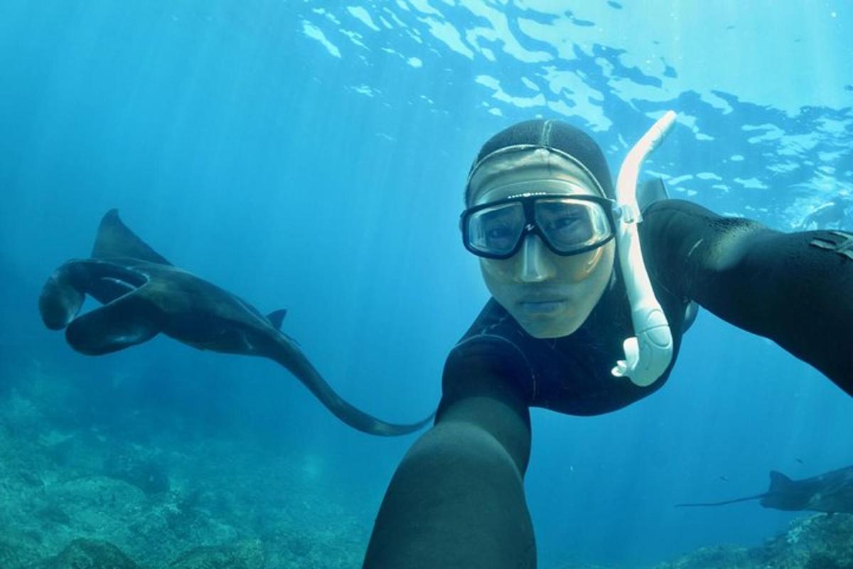 Žena v neoprenovém obleku plave v oceánu s delfíny