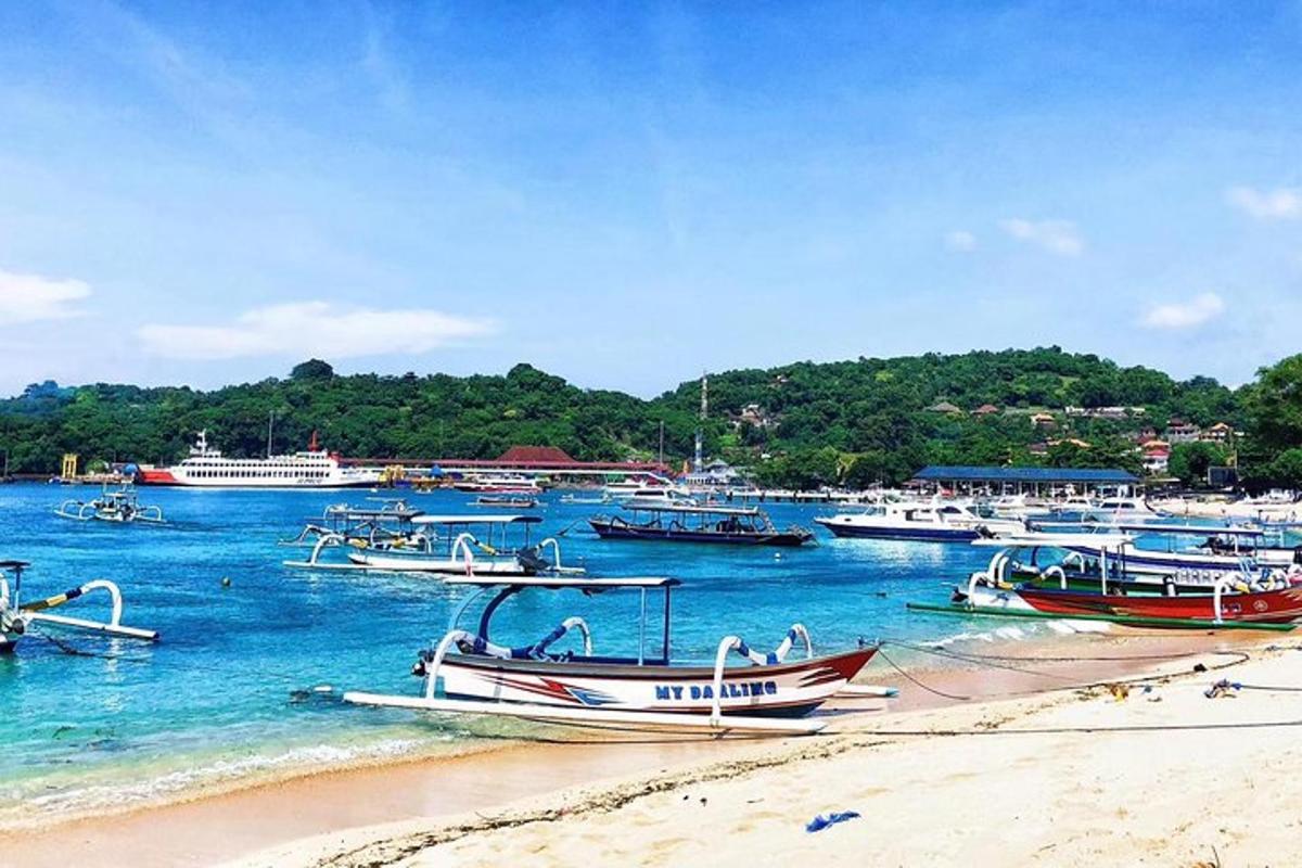 a group of boats sitting on the beach