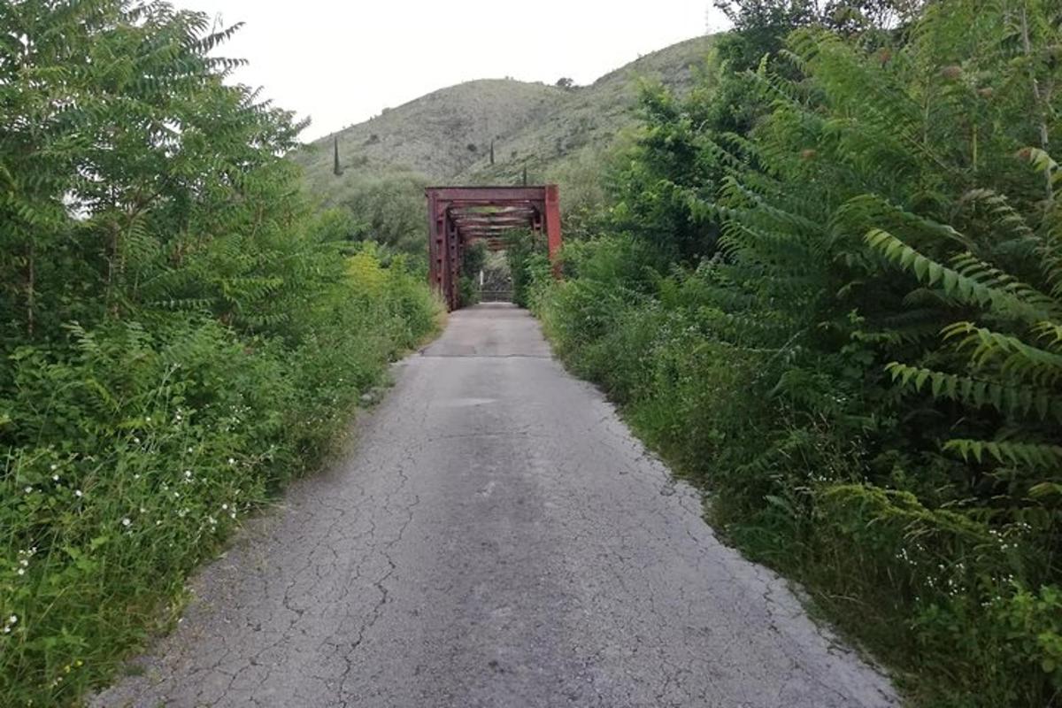 a dirt road with a bridge in the middle