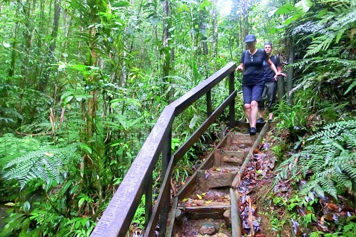 dva lidé jdoucí po dřevěném mostě v džungli