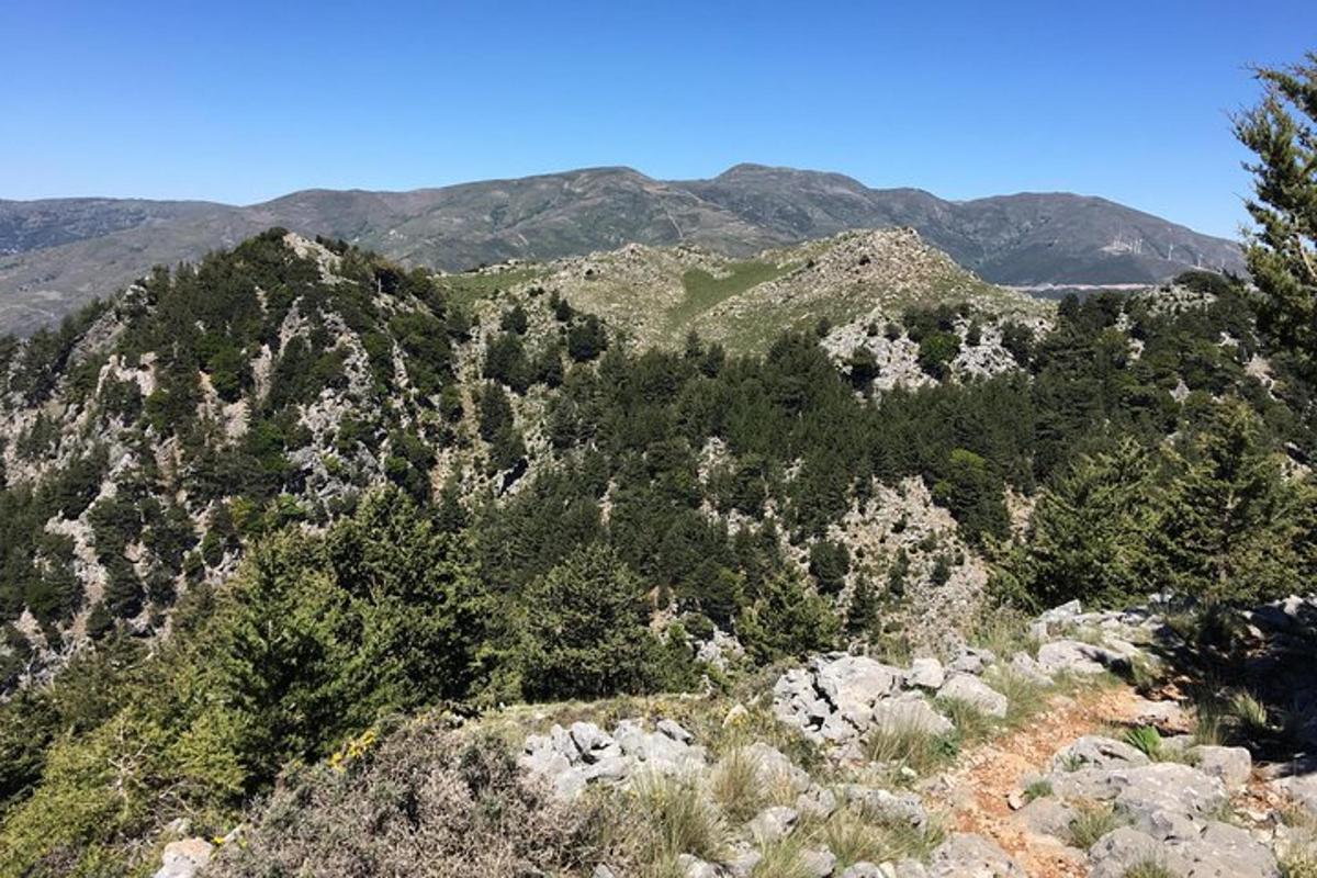 una montagna con alberi e montagne sullo sfondo