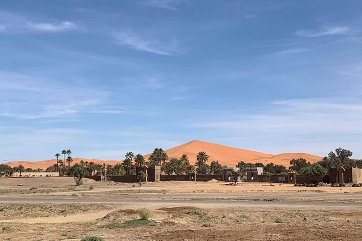 صحراء مع أشجار النخيل والجبال في المسافة