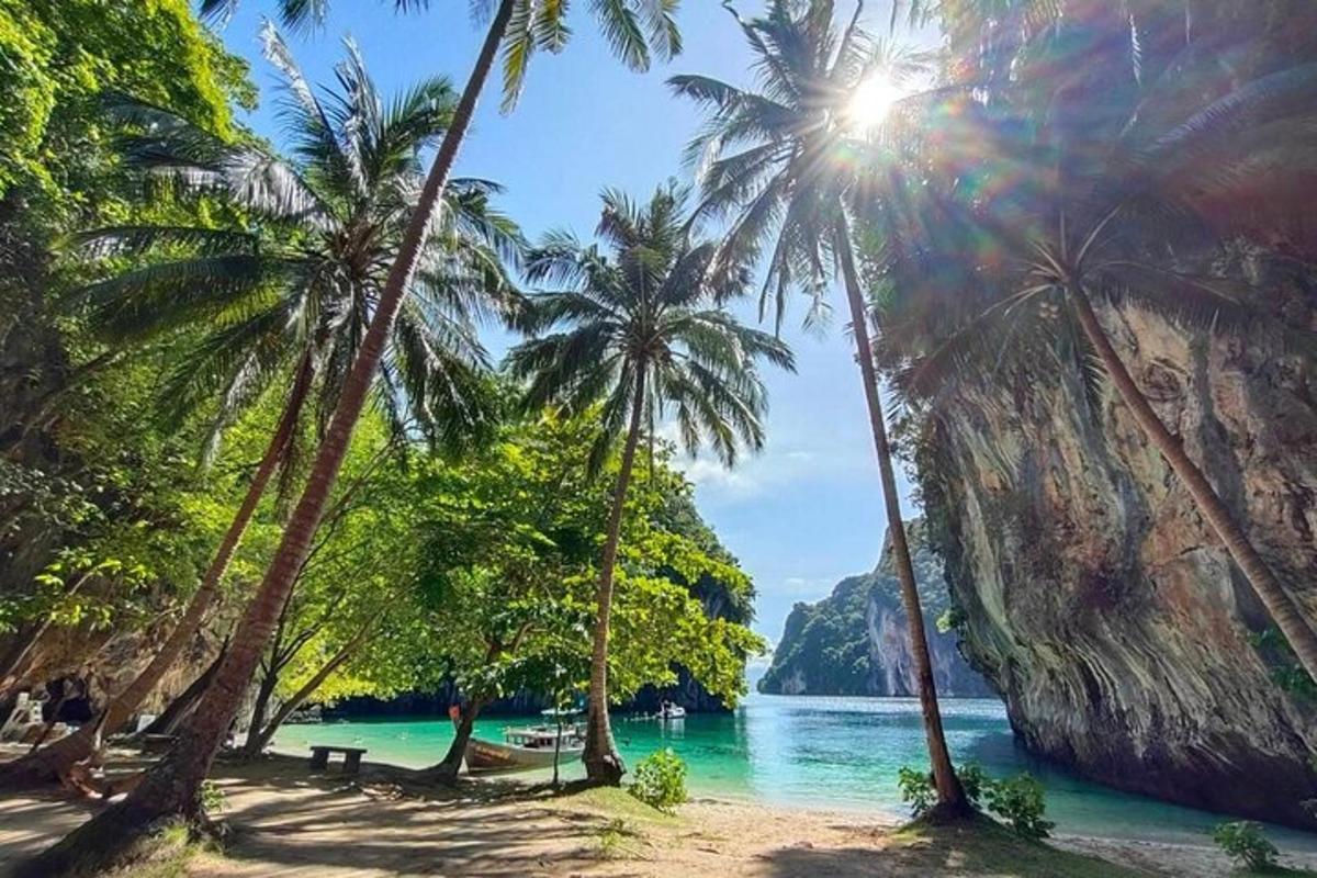 một nhóm cây cọ trên bãi biển với đại dương