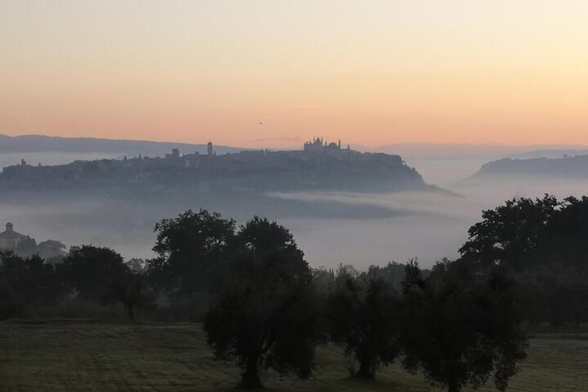 un campo nebbioso con alberi e una città in lontananza