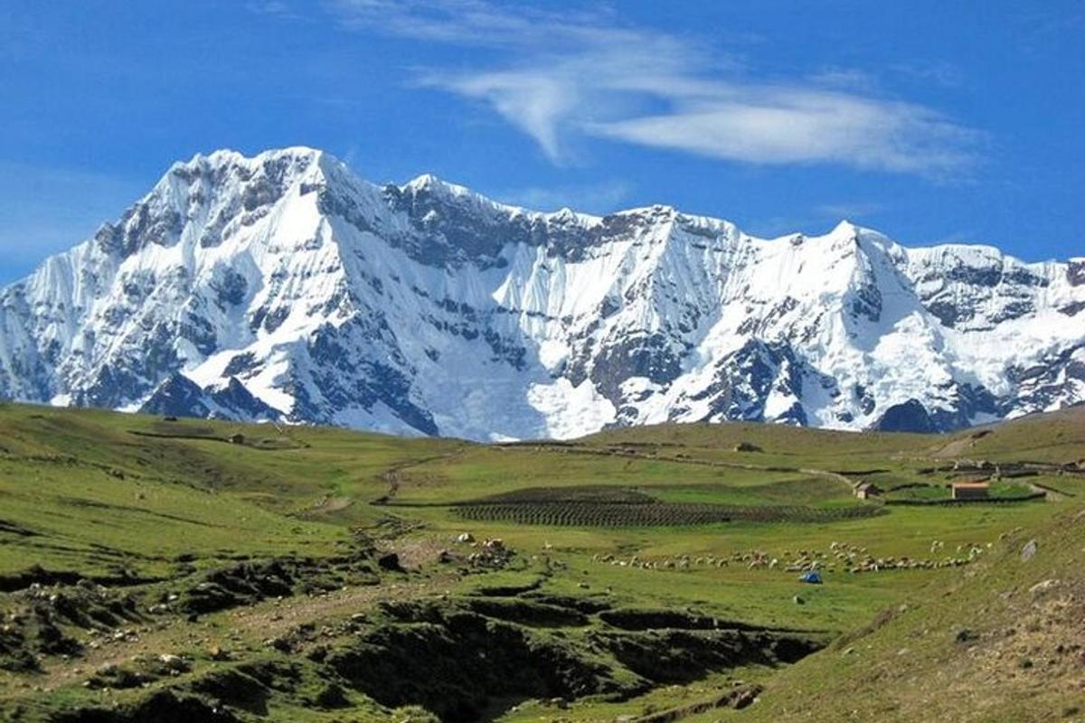una montagna coperta di neve con una mandria di animali in un campo