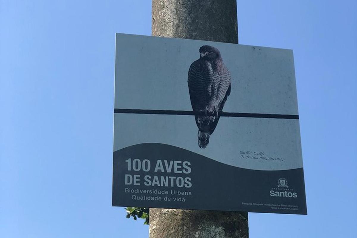 a sign on a tree with a bird on it
