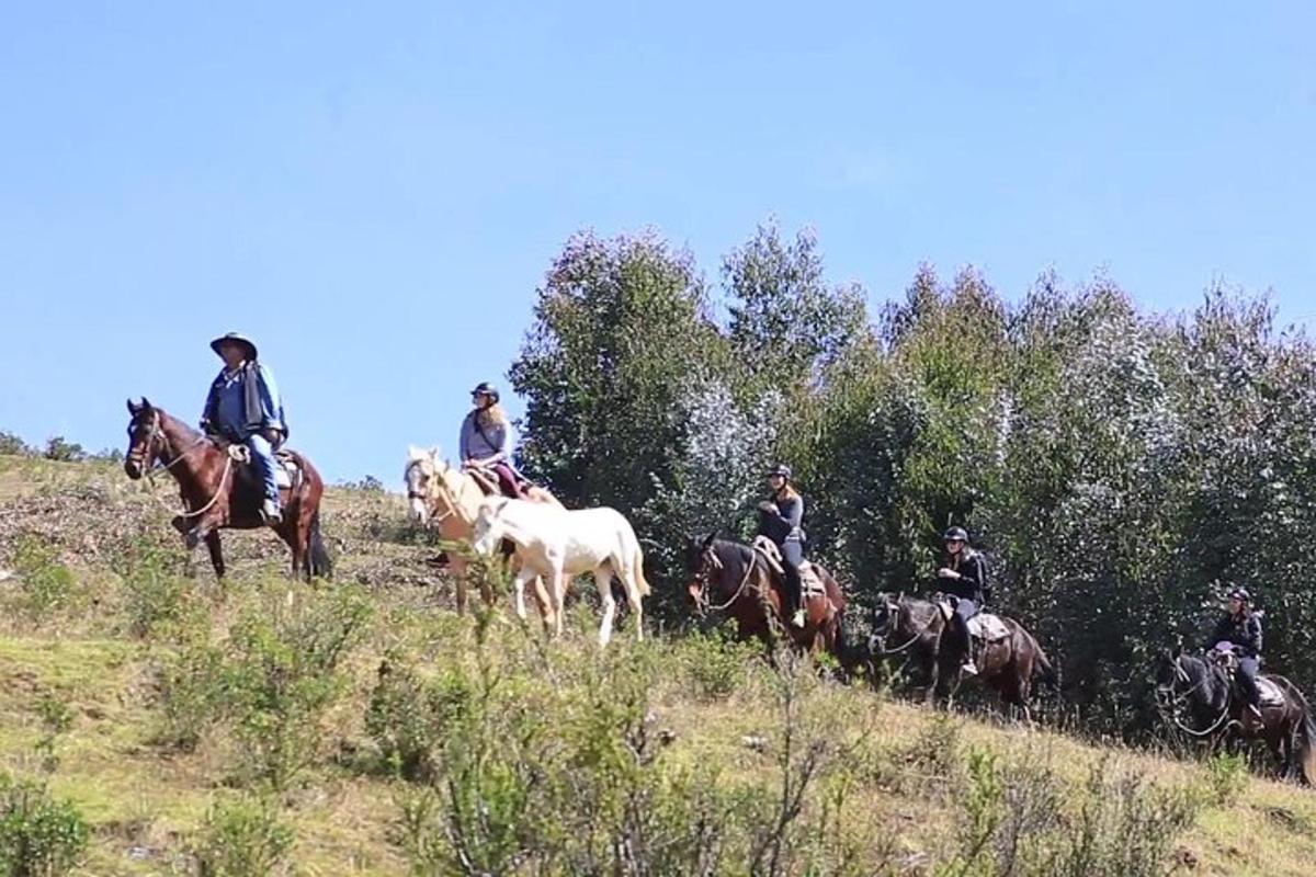 skupina lidí jezdících na koních na kopci