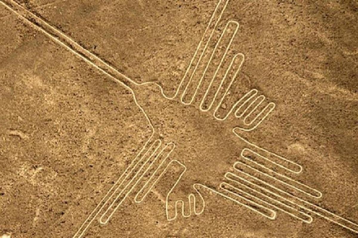 un disegno di un paio di mani a terra