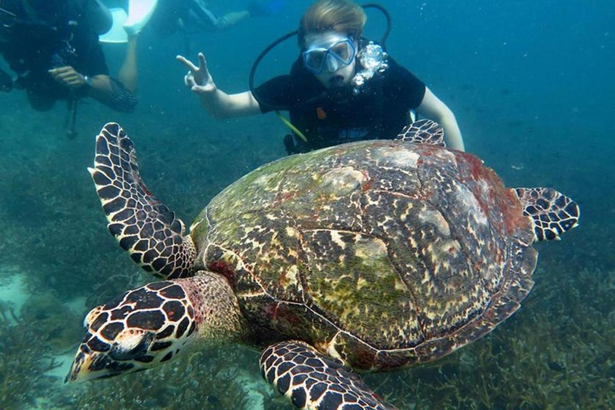 una donna è in piedi accanto a una tartaruga marina