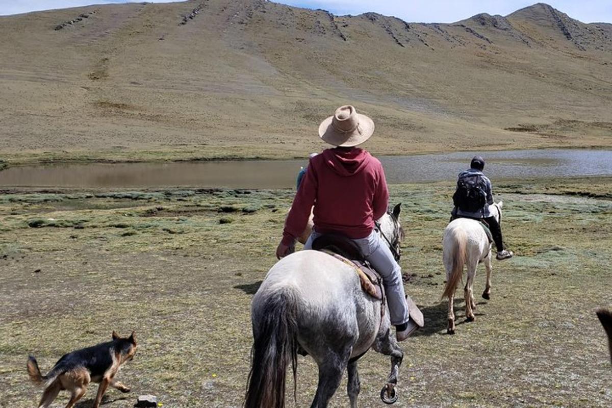 un grup de persones muntant a cavall amb un gos