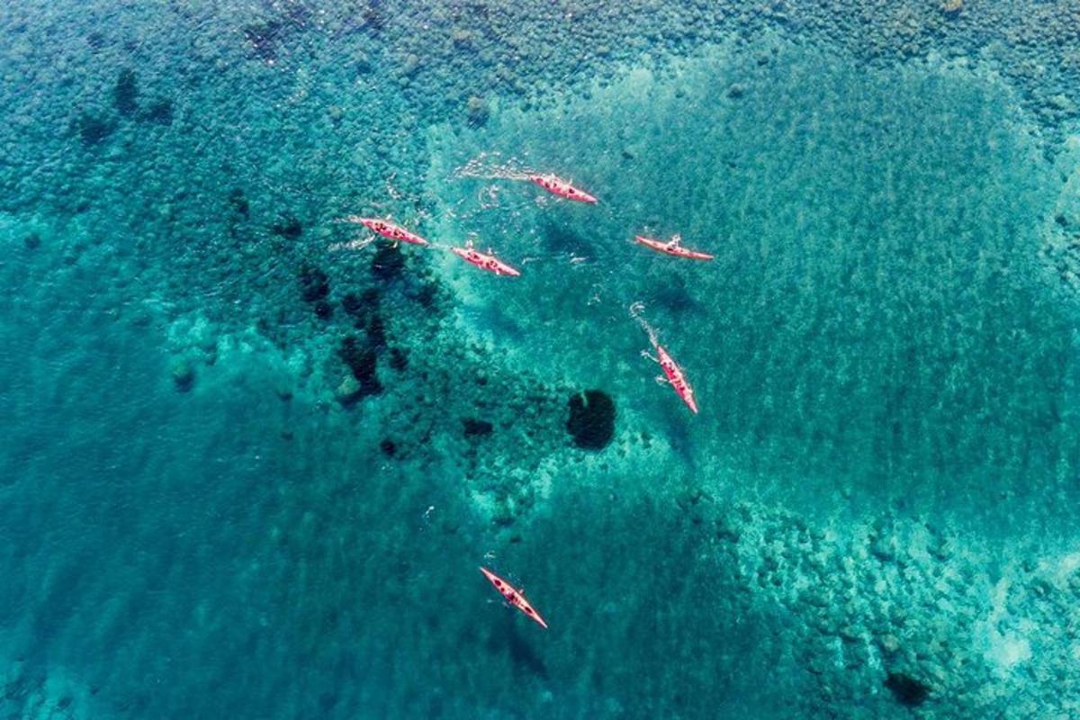 una vista dall'alto di un gruppo di pesci nell'oceano