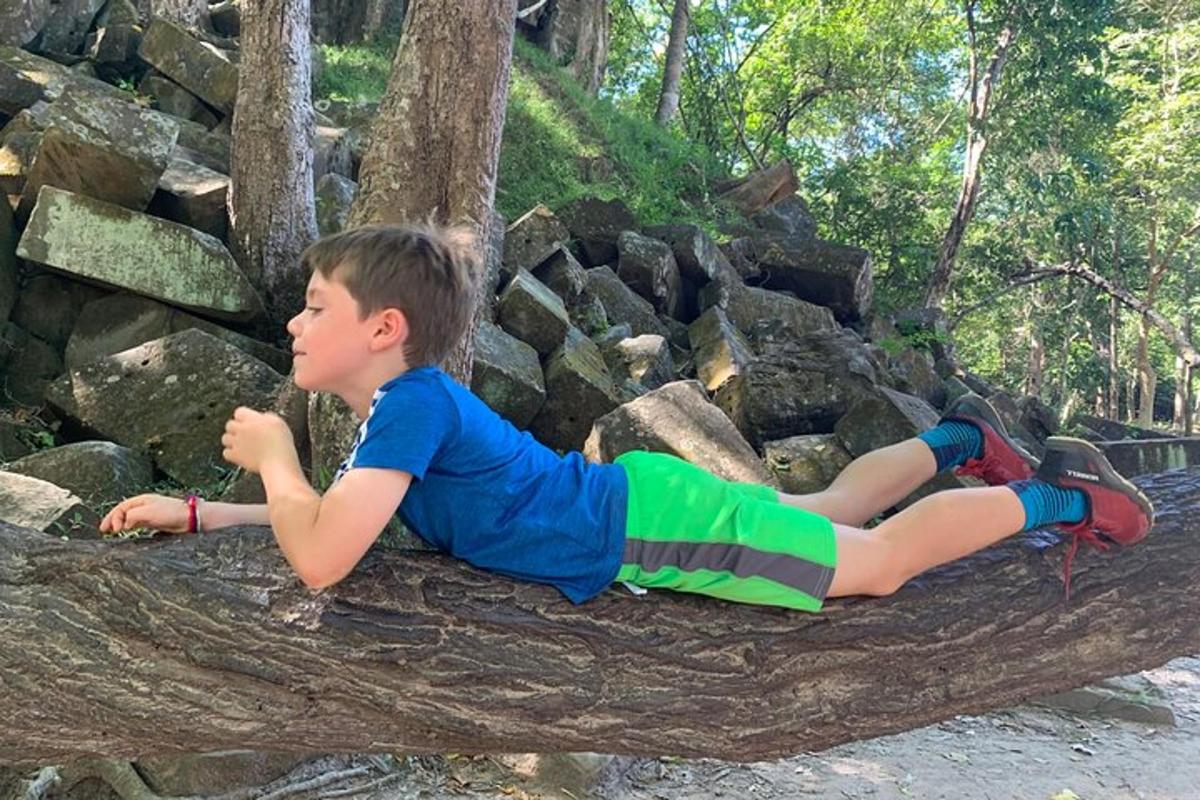 un ragazzino sdraiato su un ramo di un albero