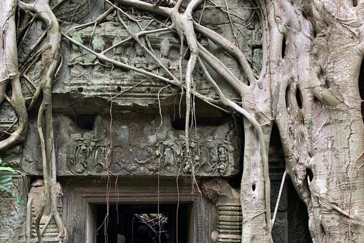um edifício com uma árvore crescendo sobre uma porta