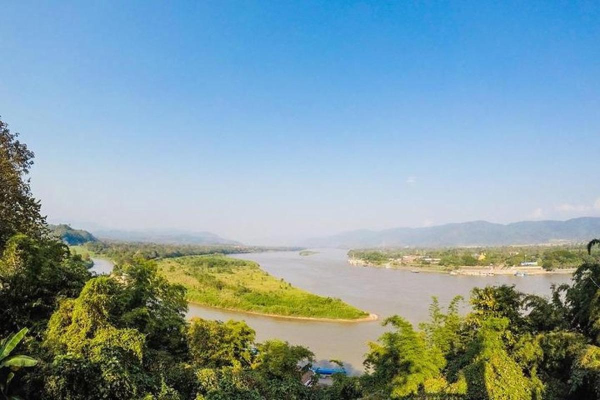 một góc nhìn của một dòng sông với những cái cây ở phía trước